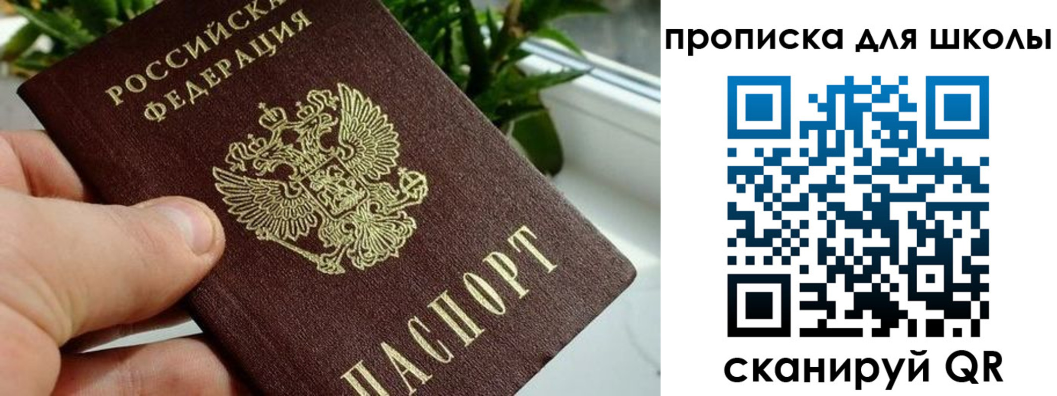 регистрация для дет. сада в Новгородской области