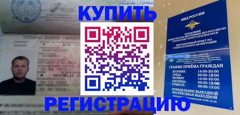 прописка законно в Новгородской области